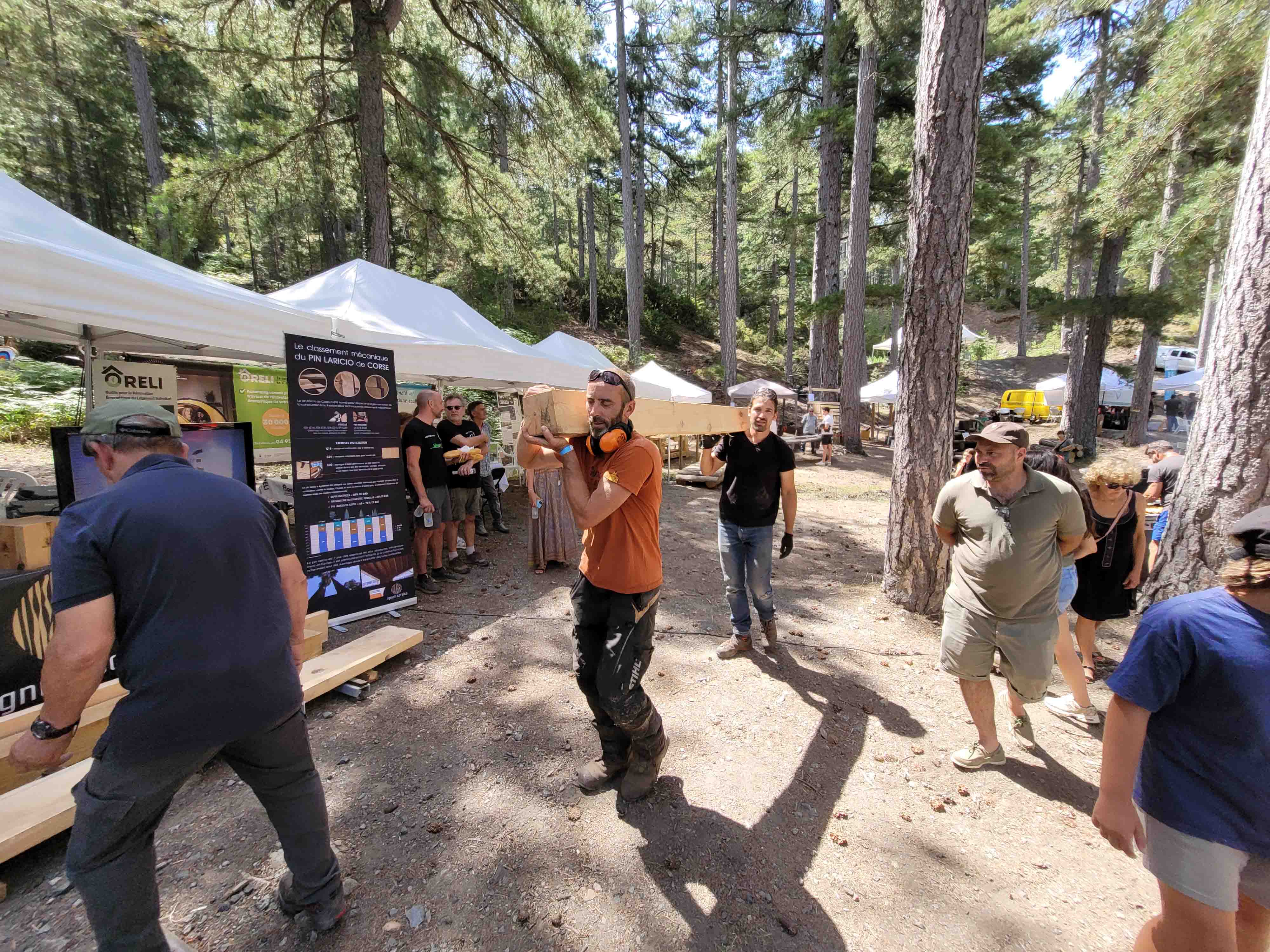 « A festa di u legnu è di a furesta »